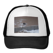 winterstorm2010 (oiseaux sauvages) casquette de camionneur