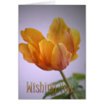 Wishing you text and Tulip card