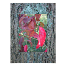 wood you leaf ? photos sur toile
