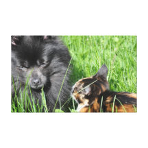 wrapped canvas stretched canvas print