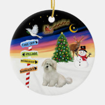 X coton de Tulear de signes de MAS Ornement De Noël