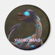 Xhoromag 19 magnets