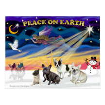 XmasSunrise-Four FrenchBulldogs Carte Postale