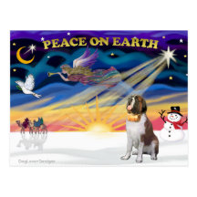 XmasSunrise - St Bernard 1 Cartes Postales