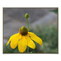 YellowFlower Art Photographique
