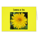 yellowgerberdaisy, pensant à vous cartes de vœux