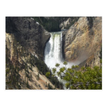 Yellowstone 3 cartes postales