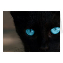 Yeux bleus de chat noir de BLCBE Cartes De Vœux