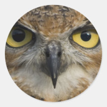 Yeux de hibou autocollants
