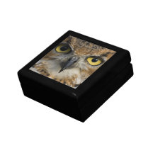 Yeux de hibou boîtes à souvenirs