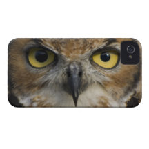 Yeux de hibou coques iPhone 4 Case-Mate