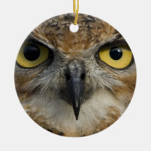 Yeux de hibou décorations de noël