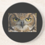 Yeux de hibou dessous de verres