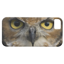 Yeux de hibou iPhone 5 case