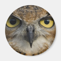 Yeux de hibou magnets pour réfrigérateur