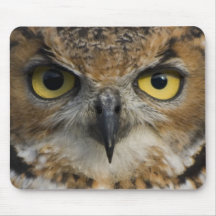 Yeux de hibou tapis de souris