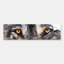 Yeux de loup autocollants pour voiture