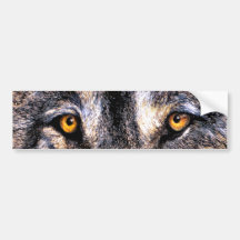 Yeux de loup autocollants pour voiture
