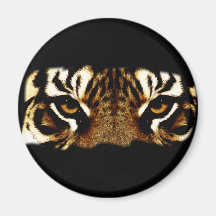 Yeux d'un tigre aimants