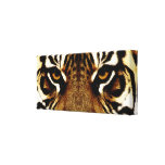 Yeux d'un tigre toile tendue