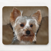Yorkie Tapis De Souris