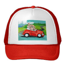 Yorkies dans le convertible rouge casquettes
