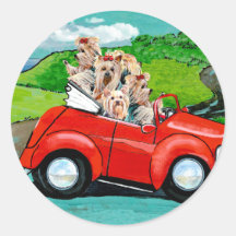 Yorkies dans les autocollants convertibles rouges