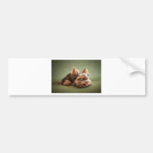 Yorkshire Terrier Autocollant Pour Voiture