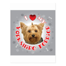 Yorkshire Terrier Cartes Postales