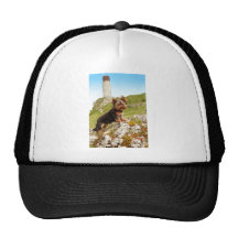 Yorkshire Terrier Casquettes