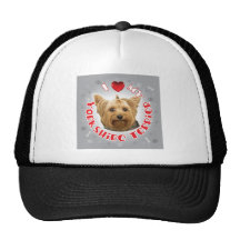 Yorkshire Terrier Casquettes De Camionneur