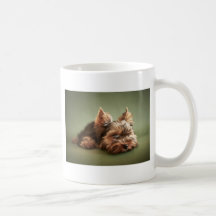 Yorkshire Terrier Mug