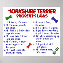 YORKSHIRE TERRIER PL2 POSTERS