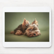 Yorkshire Terrier Tapis De Souris