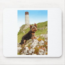 Yorkshire Terrier Tapis De Souris