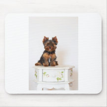 Yorkshire Terrier Tapis De Souris