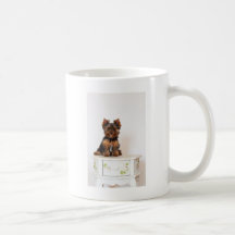 Yorkshire Terrier Tasse À Café