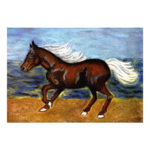 Young Colt Photograph