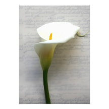 zantedeschia à la vieille invitation d'écriture