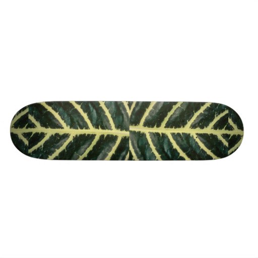 Zèbre de plante plateau de skate
