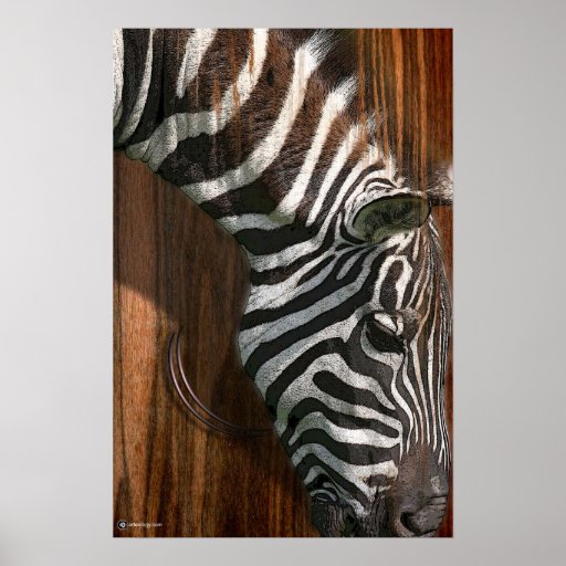 ZÈBRE POSTERS