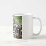 Zèbres Afrique du Sud Mugs