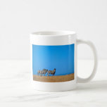 Zèbres éloignés tasses