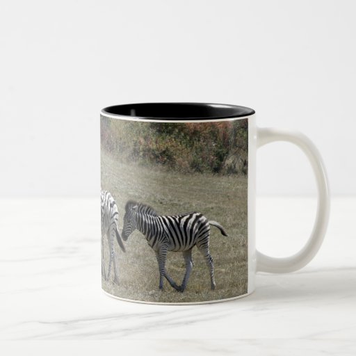 Zèbres sur la tasse de mouvement