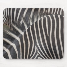 Zèbres Tapis De Souris