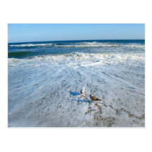 Zen à la plage carte postale