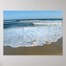Zen à la plage affiches