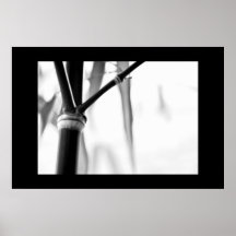 Zen en bambou posters