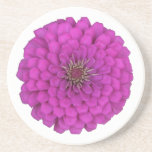 Zinnia Dessous De Verre