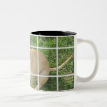 Zoe a couvert de tuiles la photo tasse